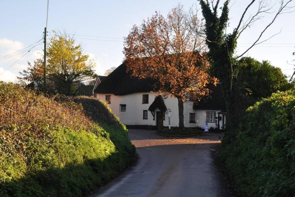 Church View, Poltimore Exeter Bagian luar foto